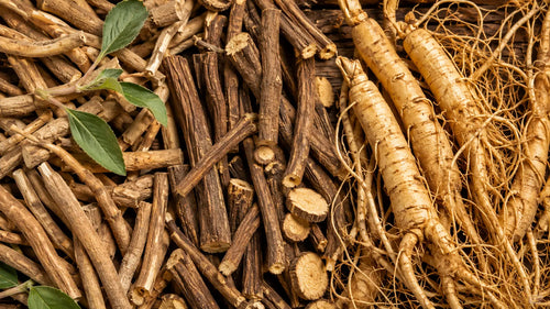 Adaptogens