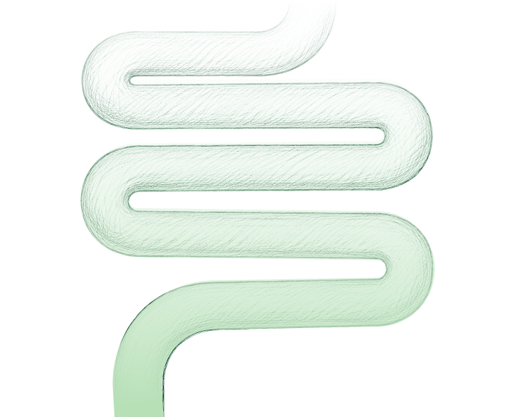 A translucent, wavy, snake-like object in a pale mint green color, shown against a solid white background.