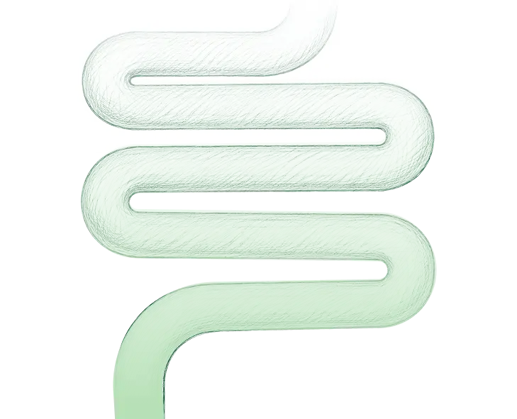 A translucent, wavy, snake-like object in a pale mint green color, shown against a solid white background..