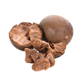 A whole and halved brown botanical fruit, likely a mahogany or cocoa pod, with several small pieces scattered in front, isolated on a white background.