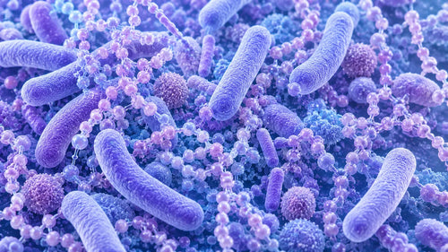 Pre and Probiotics