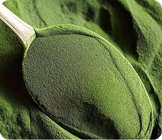 Neogreens Daily Blend