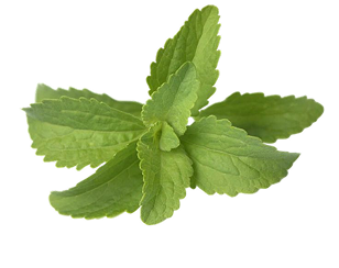 A small cluster of fresh green mint leaves with serrated edges, isolated on a plain white background.