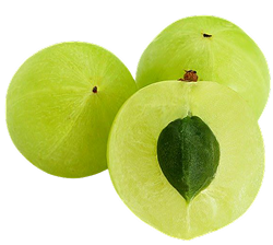 Three green amla fruits on a white background, with one fruit cut in half to show the pale green flesh and dark green central core.