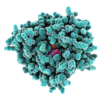 A 3D molecular model of a virus or protein complex, featuring a dense outer shell of teal and turquoise spherical caps with a few smaller pink and orange internal structures, isolated on a white background.