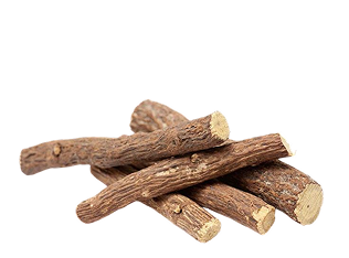 A pile of natural brown root sticks with light tan cut ends, photographed on a plain white background.
