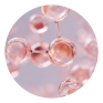 A circular close-up of pinkish-red blood cells on a pale pink background.