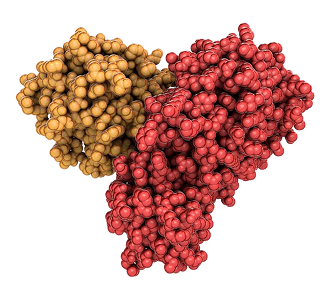 A 3D molecular model or protein-like structure rendered with glossy spherical bead-like surfaces, split into two main clusters: one golden yellow on the left and one red on the right, shown on a plain white background.