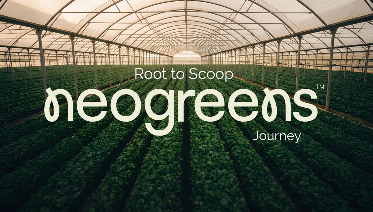 Root To Scoop