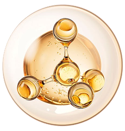 A top-down view of a clear glass shot glass with a gold rim, filled with a golden amber liquid, arranged on a white plate with a gold rim.